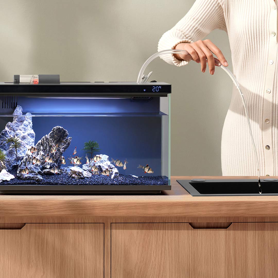 Xiaomi Mijia Akıllı Balık Tank - Smart Home Xiaomi Devices incelemesi ve fiyatı